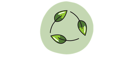 Alle Seifen bestehen aus natürlichen und umweltfreundlichen Bestandteilen